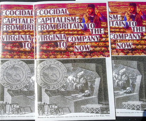 "Ecocidal Capitalism: From Britain to the Virginia Company to Now"